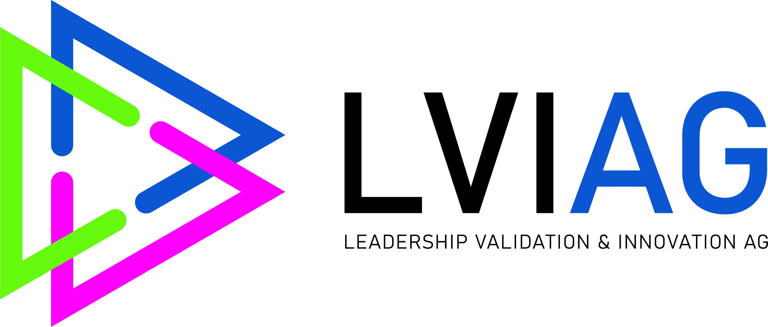 LVI Logo